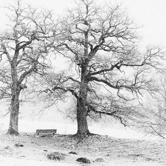 Maienfeld Aprilwetter